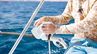 Jordan — поиск гигантского кальмара: снасти, луна и шансы