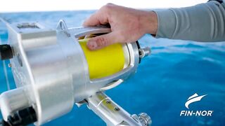 Jordan — поиск гигантского кальмара: снасти, луна и шансы