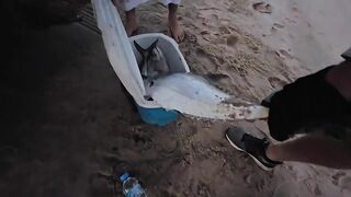 Катар удивит: лучшие споты Дохи — морская рыбалка у пирсов и банок