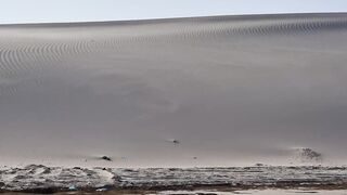 Катар удивит: лучшие споты Дохи — морская рыбалка у пирсов и банок