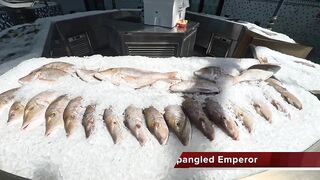 Катар удивит: лучшие споты Дохи — морская рыбалка у пирсов и банок