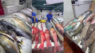 Джидда, Saudi — рыбный рынок и уловы моряков, как выбрать свежую рыбу?