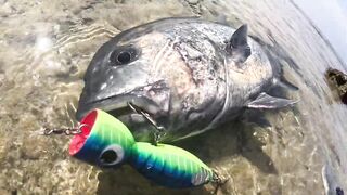 Saudi, Red Sea — удачный уикенд: рыбалка с берега и лодки, лучшие часы