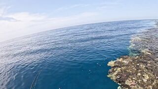 Saudi, Red Sea — удачный уикенд: рыбалка с берега и лодки, лучшие часы