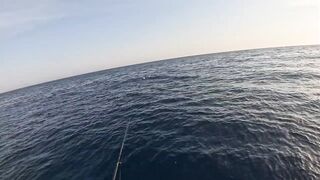 Saudi, Red Sea — удачный уикенд: рыбалка с берега и лодки, лучшие часы