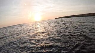 Saudi, Red Sea — удачный уикенд: рыбалка с берега и лодки, лучшие часы