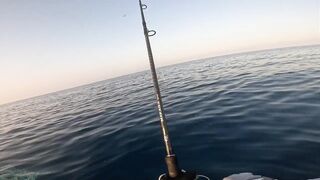 Saudi, Red Sea — удачный уикенд: рыбалка с берега и лодки, лучшие часы