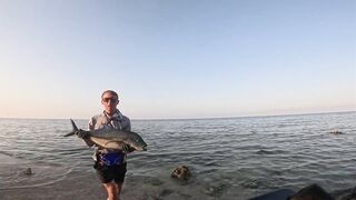 Saudi, Red Sea — удачный уикенд: рыбалка с берега и лодки, лучшие часы