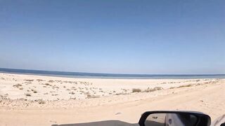 Saudi, Red Sea — удачный уикенд: рыбалка с берега и лодки, лучшие часы