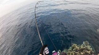 Saudi, Red Sea — удачный уикенд: рыбалка с берега и лодки, лучшие часы