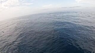 Saudi, Red Sea — удачный уикенд: рыбалка с берега и лодки, лучшие часы
