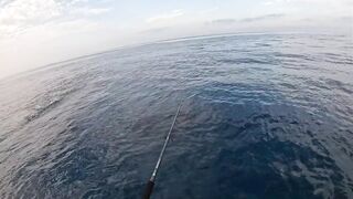 Saudi, Red Sea — удачный уикенд: рыбалка с берега и лодки, лучшие часы