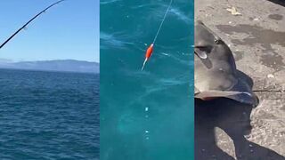 Тенерифе: морская рыбалка — снасти и точки у лавовых плато