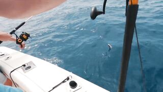 Tenerife — рыбалка: что клюёт у Los Cristianos в сезон ветров?