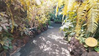 Tenerife — рыбалка: что клюёт у Los Cristianos в сезон ветров?