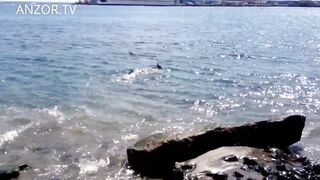 Los Cristianos, Tenerife — рыбалка с Димой: лайтовые приманки