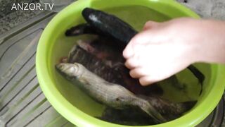 Los Cristianos, Tenerife — рыбалка с Димой: лайтовые приманки