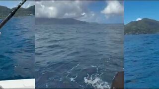 Mahé, Seychelles — парусник с берега на живца: где ждать выход хищника