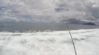 Mahé, Seychelles — рыбалка с берега, часть 3: утренний выход хищника