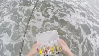 Mahé, Seychelles — рыбалка с берега, часть 3: утренний выход хищника