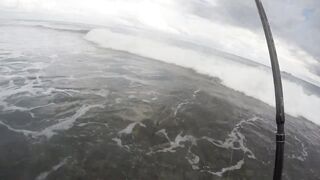 Mahé, Seychelles — рыбалка с берега, часть 3: утренний выход хищника