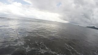 Mahé, Seychelles — рыбалка с берега, часть 3: утренний выход хищника