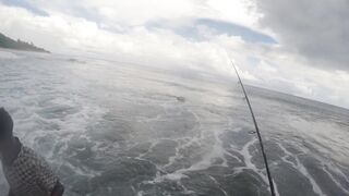 Mahé, Seychelles — рыбалка с берега, часть 3: утренний выход хищника