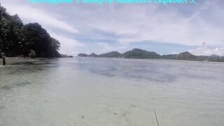 Mahé, Seychelles — рыбалка с берега, часть 3: утренний выход хищника
