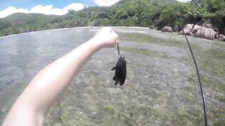 Mahé, Seychelles — рыбалка с берега, часть 3: утренний выход хищника