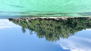 Mahé, Seychelles — рыбалка с берега, часть 3: утренний выход хищника