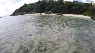 Mahé, Seychelles — рыбалка с берега, часть 3: утренний выход хищника