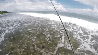 Mahé, Seychelles — рыбалка с берега, часть 3: утренний выход хищника