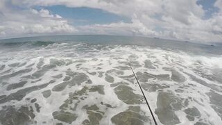 Mahé, Seychelles — рыбалка с берега, часть 3: утренний выход хищника