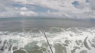 Mahé, Seychelles — рыбалка с берега, часть 3: утренний выход хищника