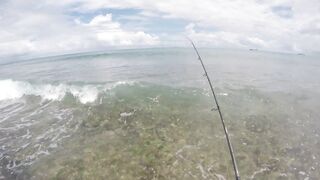 Mahé, Seychelles — рыбалка с берега, часть 3: утренний выход хищника