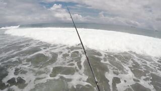 Mahé, Seychelles — рыбалка с берега, часть 3: утренний выход хищника