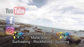 Mahé, Seychelles — морская рыбалка: приключение в Индийском океане