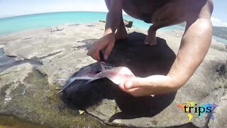 Mahé, Seychelles — морская рыбалка: приключение в Индийском океане