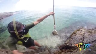 Mahé, Seychelles — морская рыбалка: приключение в Индийском океане