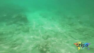 Mahé, Seychelles — морская рыбалка: приключение в Индийском океане