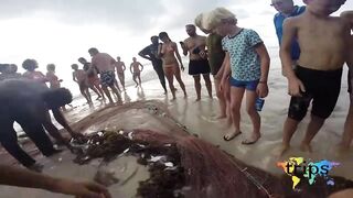 Mahé, Seychelles — морская рыбалка: приключение в Индийском океане