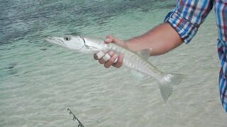 Mahé, Seychelles — fly fishing у бровок: первый выход GT