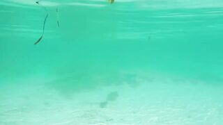 Mahé, Seychelles — fly fishing у бровок: первый выход GT