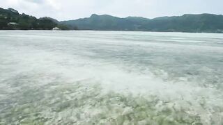 Mahé, Seychelles — fly fishing у бровок: первый выход GT