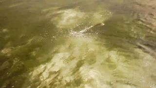 Mahé, Seychelles — fly fishing у бровок: первый выход GT