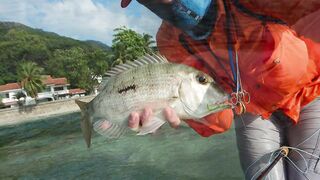 Mahé, Seychelles — fly fishing у бровок: первый выход GT