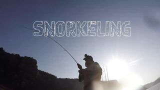 Mahé, Bel Ombre, Seychelles: рыбалка и снорклинг у кромки рифа