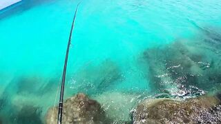 Mahé, Bel Ombre, Seychelles: рыбалка и снорклинг у кромки рифа