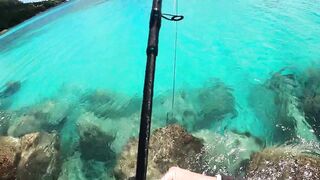 Mahé, Bel Ombre, Seychelles: рыбалка и снорклинг у кромки рифа