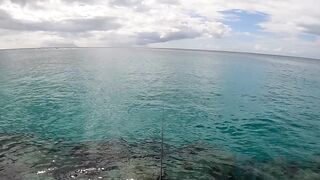 Mahé, Bel Ombre, Seychelles: рыбалка и снорклинг у кромки рифа